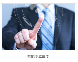 智能冷庫建造 智能冷庫建造